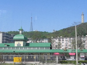 s-20120514 ryojyun (46).jpg